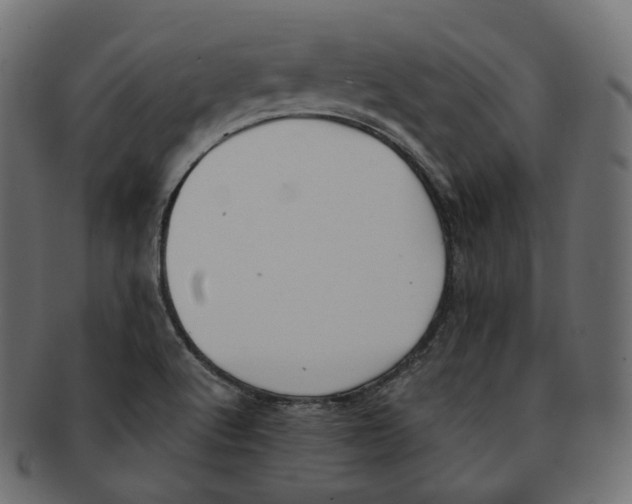 X0000091941512200710031108