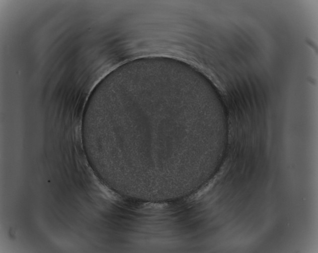 X0000091941513200710031108