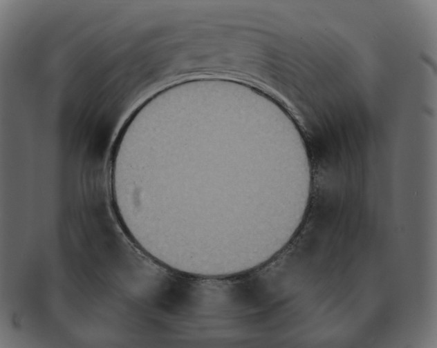 X0000091941514200710031108