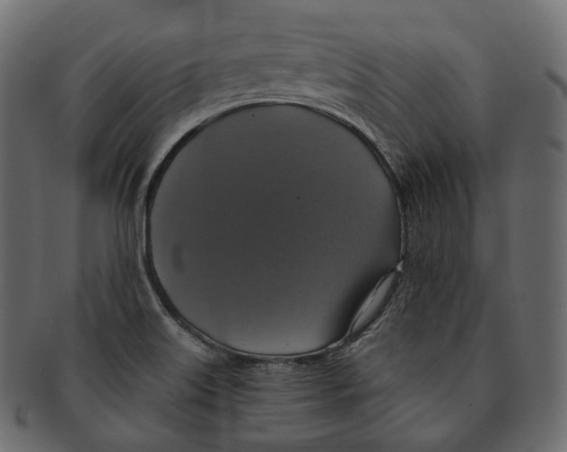 X0000091941515200710031108