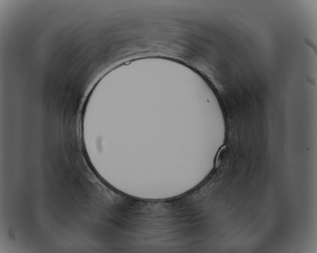 X0000091941516200710031108