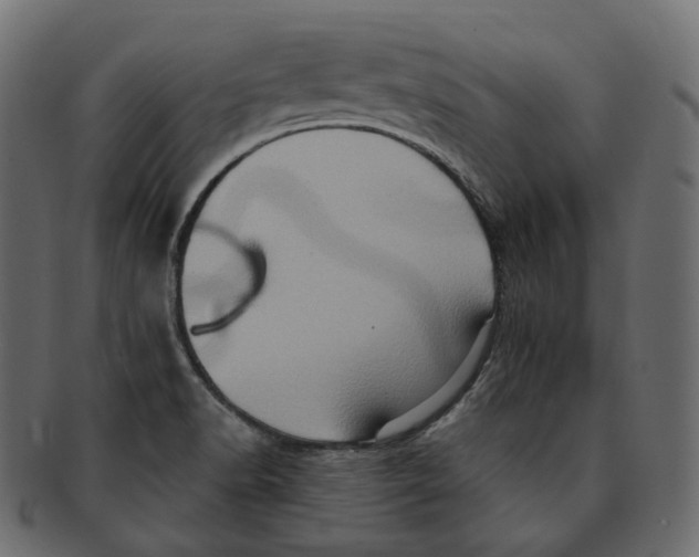 X0000091941518200710031108