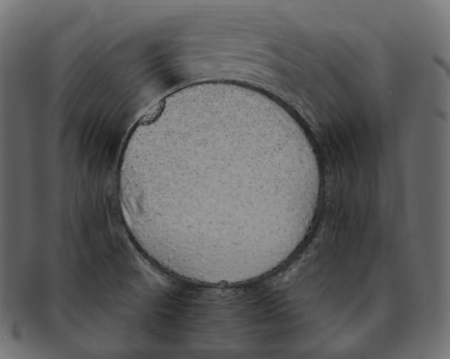 X0000091941521200710031108