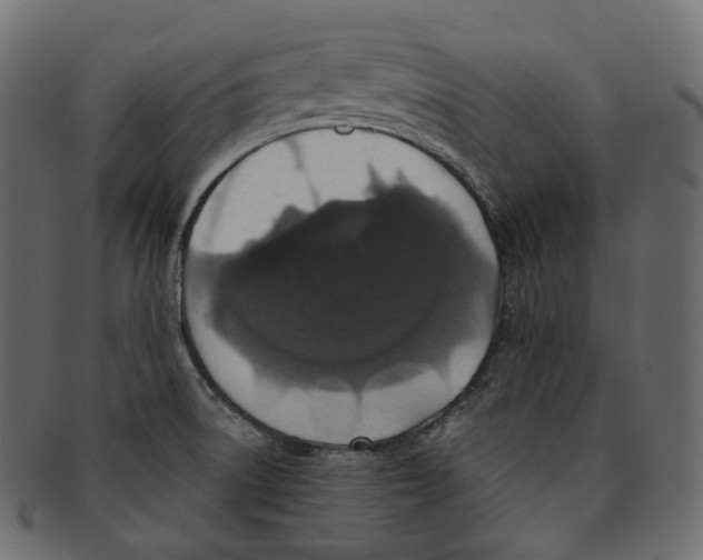 X0000091941522200710031108