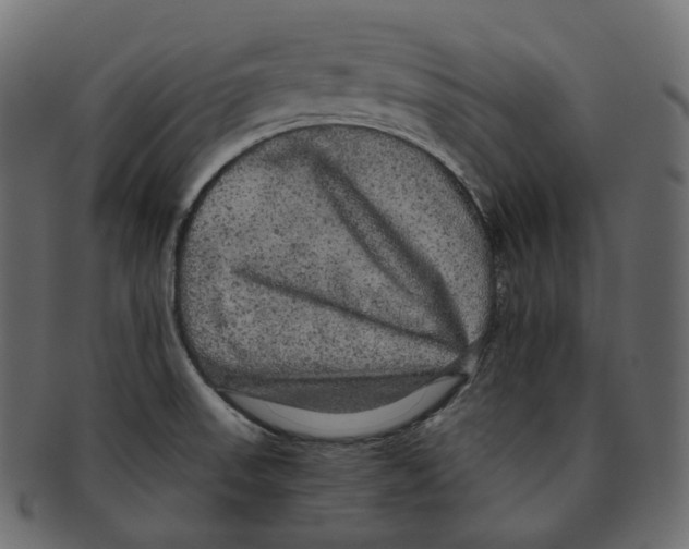 X0000091941523200710031108