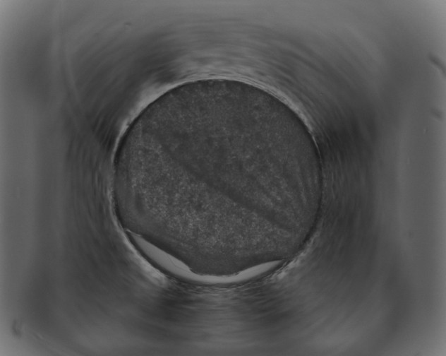 X0000091941525200710031108