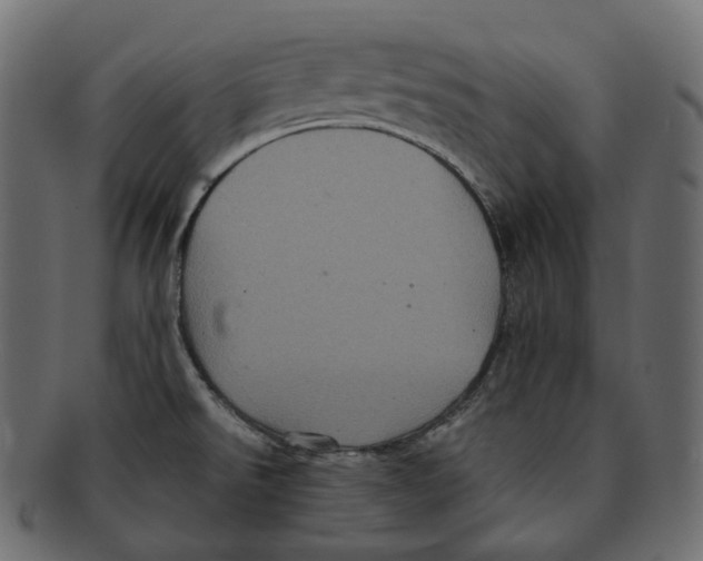 X0000091941526200710031108