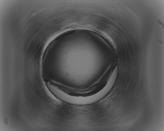 X0000091941528200710031108