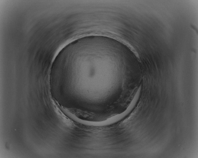 X0000091941530200710031108