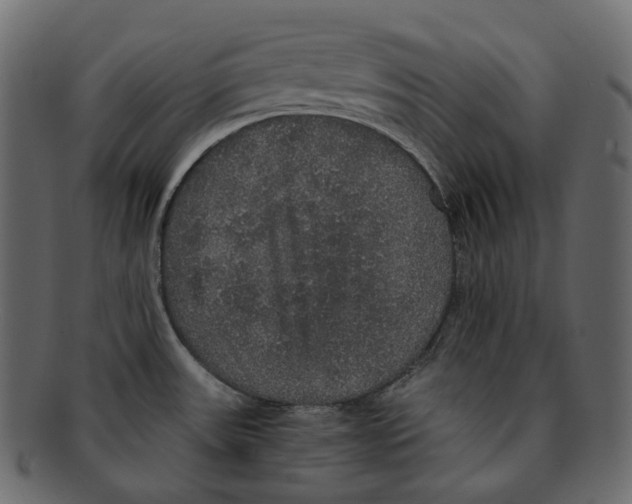 X0000091941531200710031108