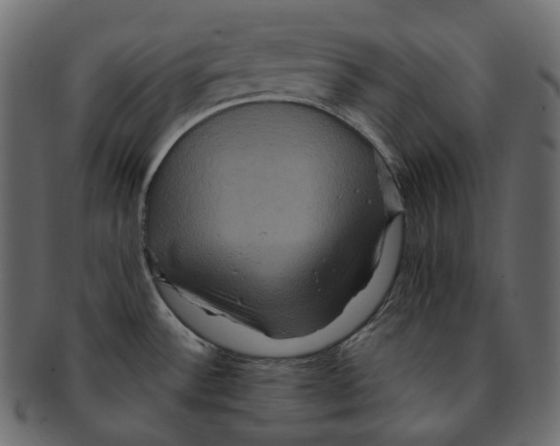 X0000091941532200710031108