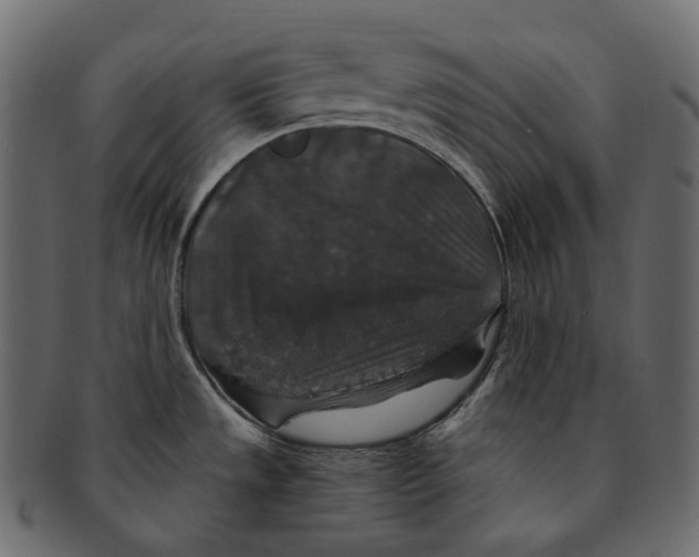 X0000091941533200710031108