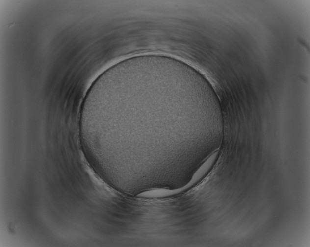 X0000091941534200710031108