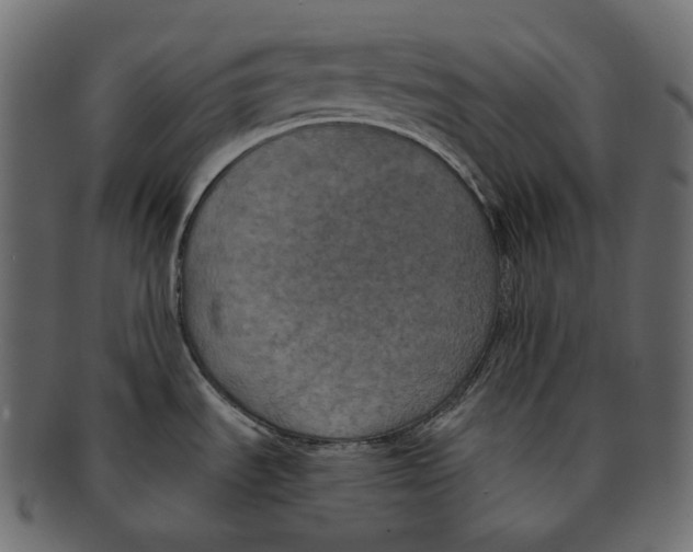 X0000091941535200710031108