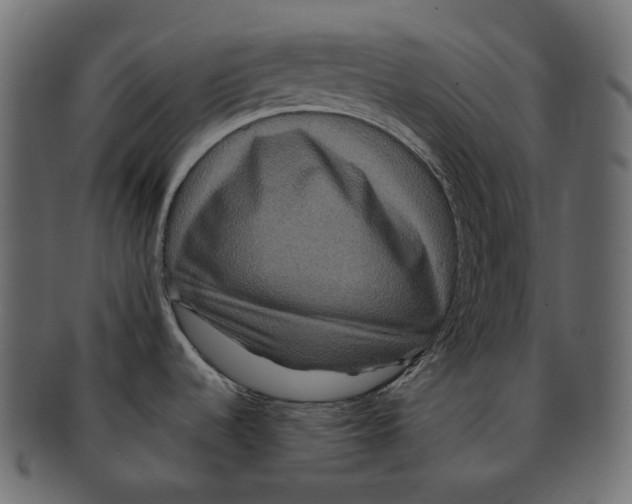 X0000091941536200710031108