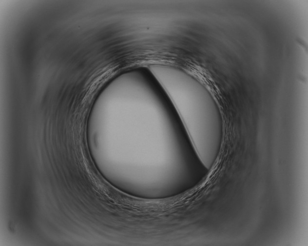X0000091950001200709061049