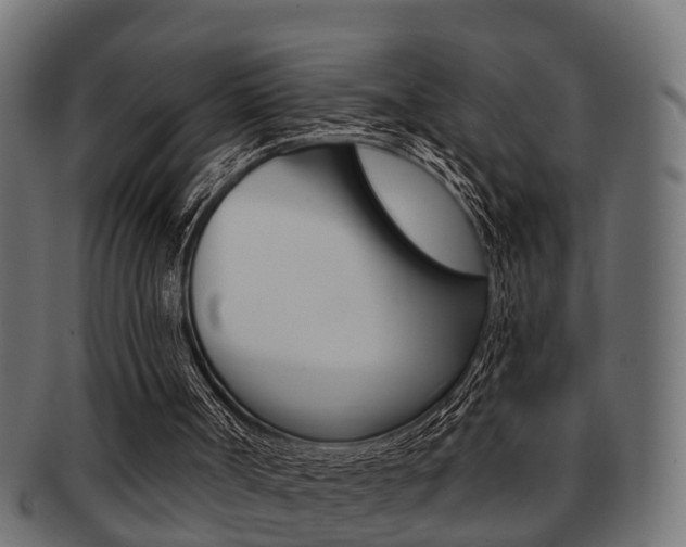 X0000091950002200709061049