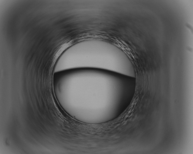 X0000091950003200709061049