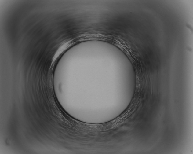 X0000091950004200709061049