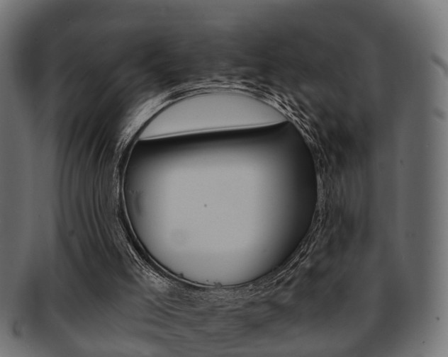 X0000091950005200709061049
