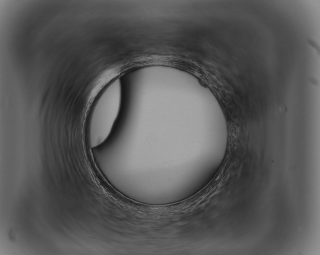 X0000091950006200709061049