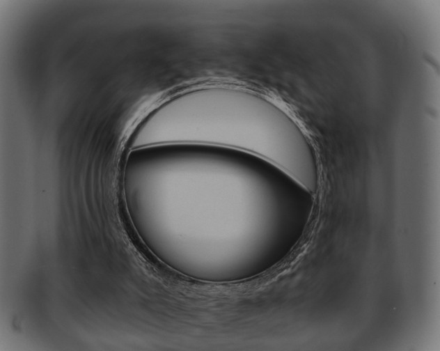 X0000091950007200709061049