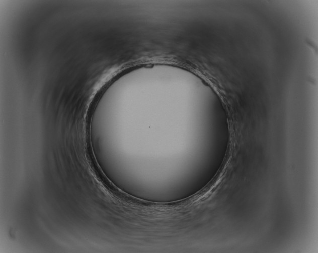 X0000091950008200709061049