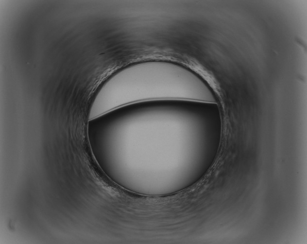 X0000091950009200709061049