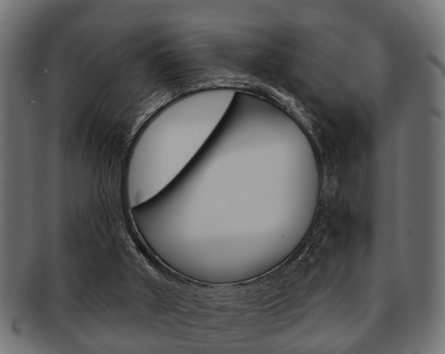 X0000091950010200709061049