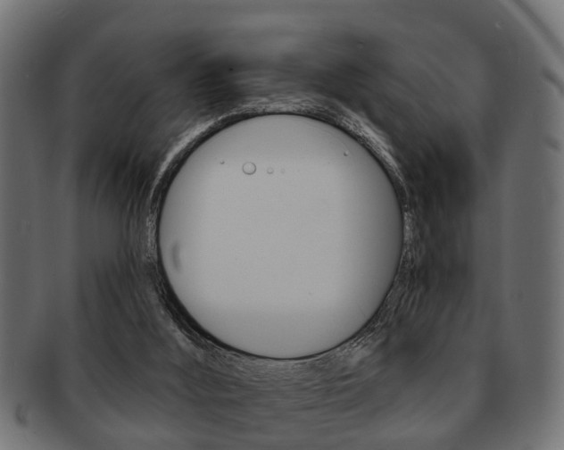 X0000091950012200709061049