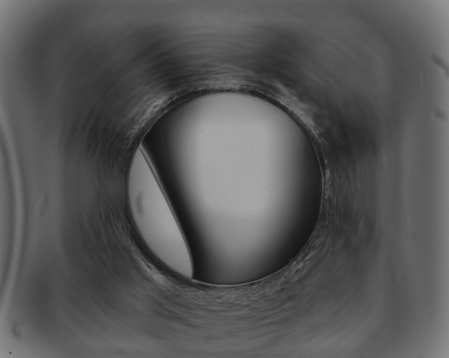 X0000091950013200709061049