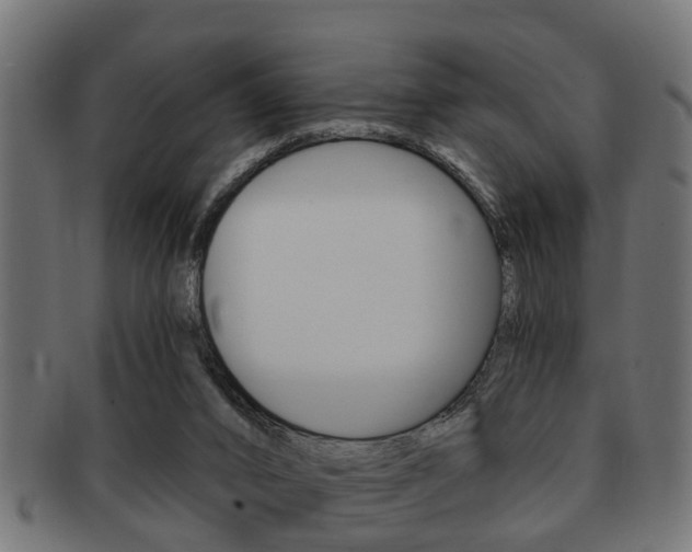X0000091950016200709061049