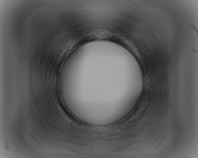 X0000091950018200709061049