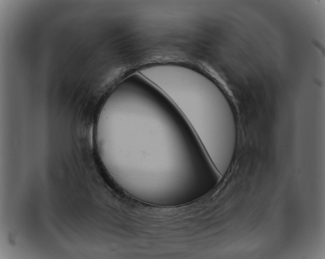 X0000091950019200709061049