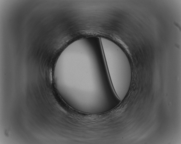X0000091950020200709061049