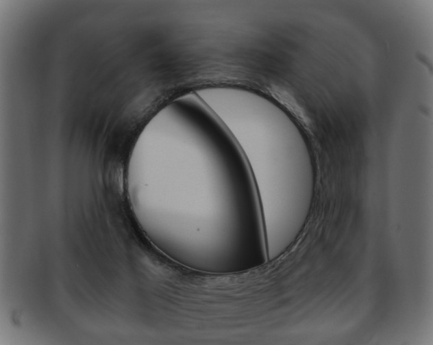 X0000091950021200709061049