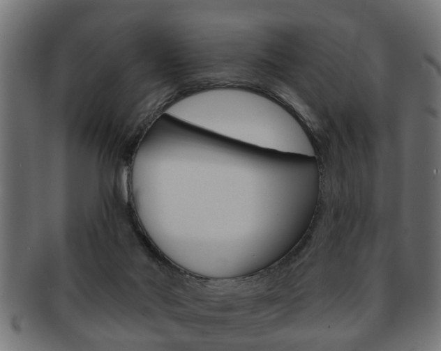 X0000091950022200709061049