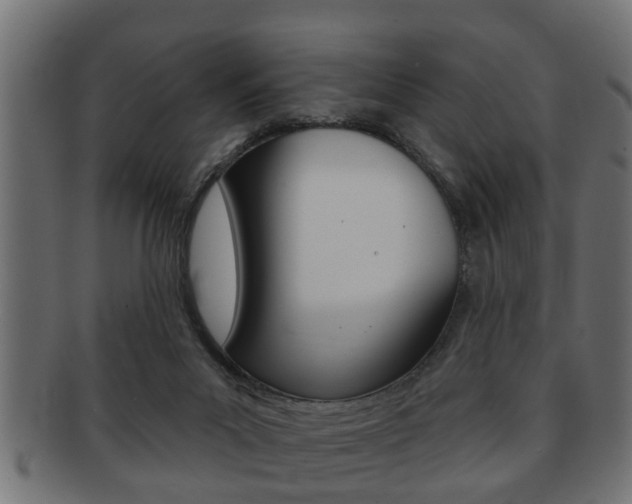 X0000091950023200709061049