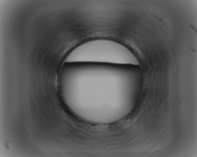 X0000091950024200709061049