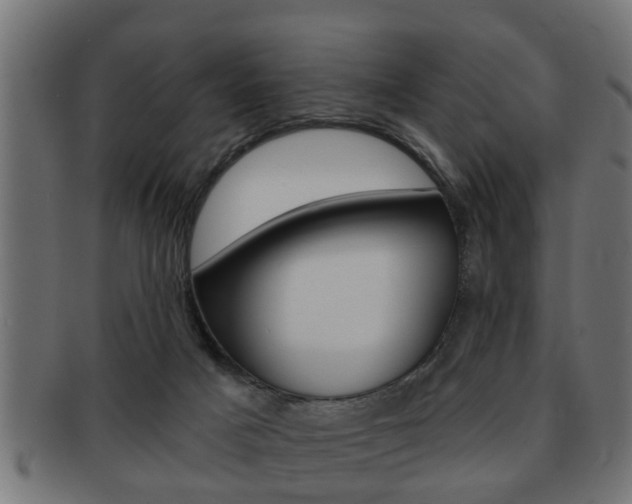 X0000091950025200709061049