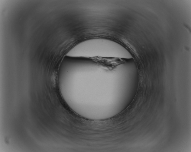 X0000091950026200709061049