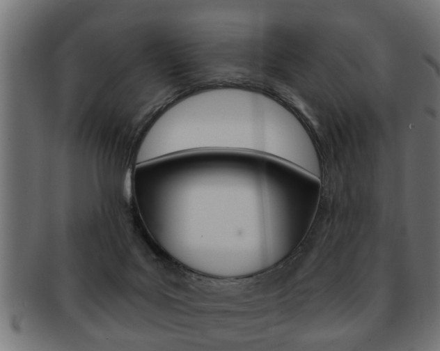 X0000091950027200709061049