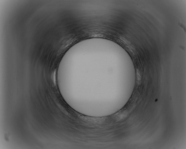 X0000091950028200709061049