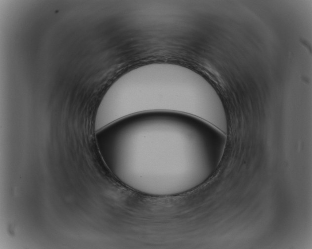 X0000091950029200709061049