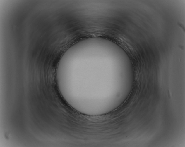 X0000091950030200709061049