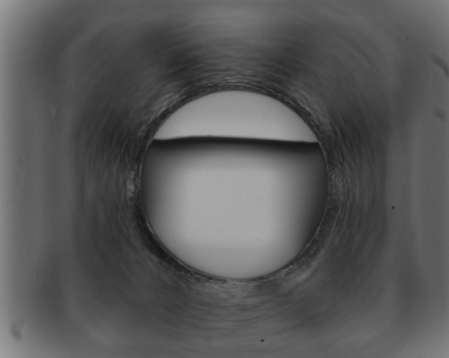 X0000091950032200709061049
