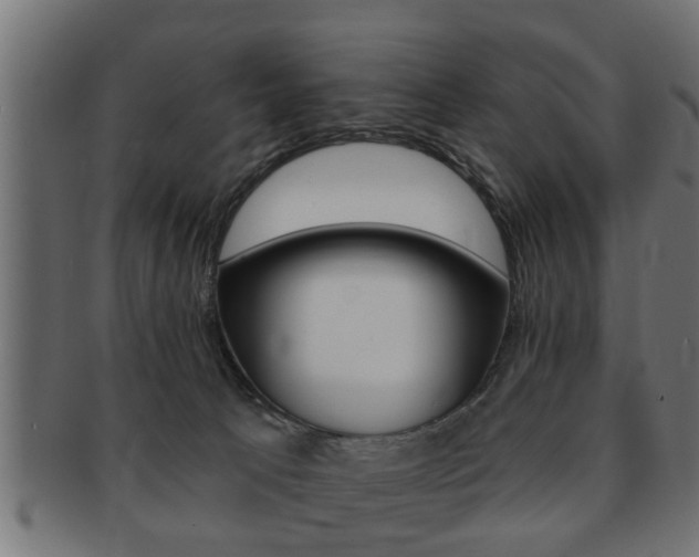 X0000091950033200709061049