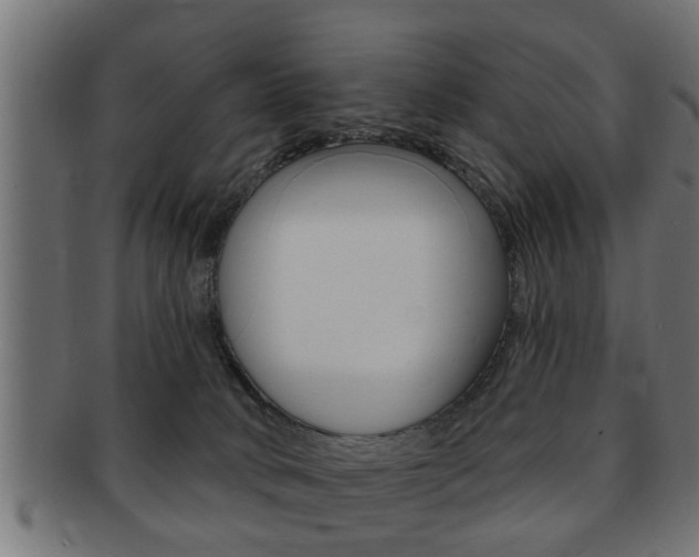 X0000091950034200709061049