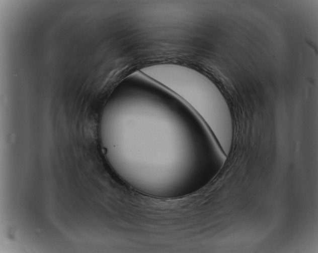 X0000091950035200709061048