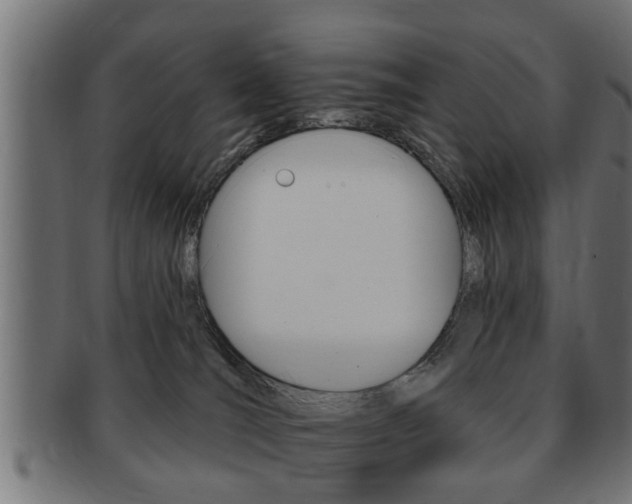 X0000091950036200709061048
